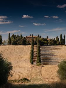 Lire la suite à propos de l’article Officia accusamus laboriosam rem magnam