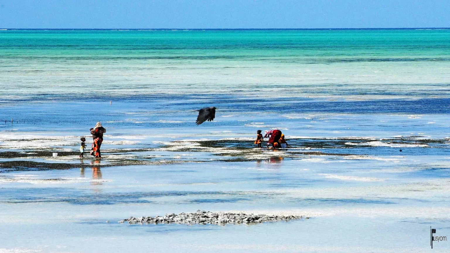 Scène de vie sur le rivage à Zanzibar – traditions locales et inspiration culturelle pour Fusyom