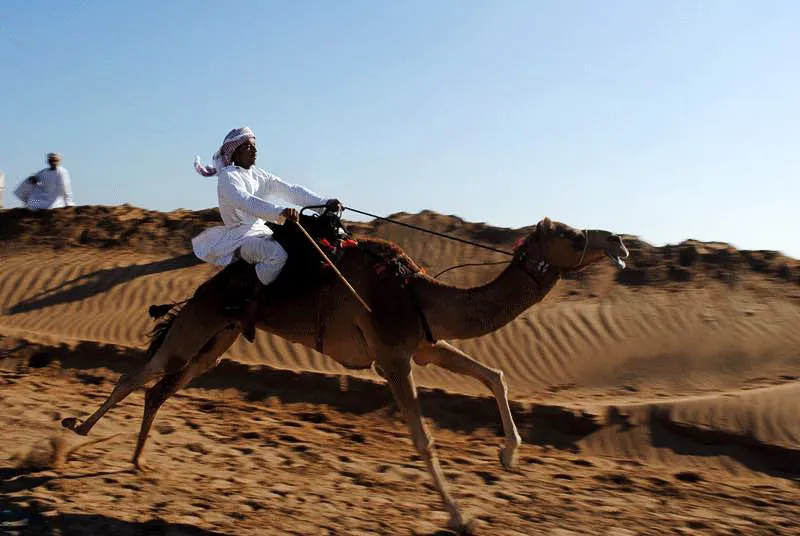 Course de dromadaires dans le désert d’Oman 2010 – mouvement et énergie retranscrits dans l’artisanat Fusyom